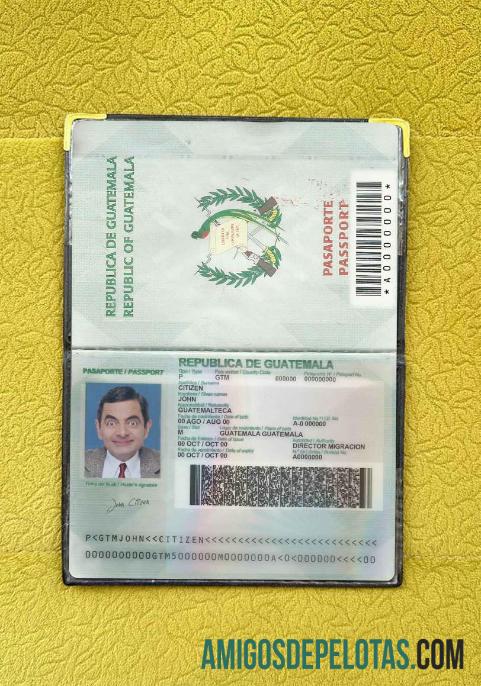 Foto do passaporte da Guatemala baixar para verificação